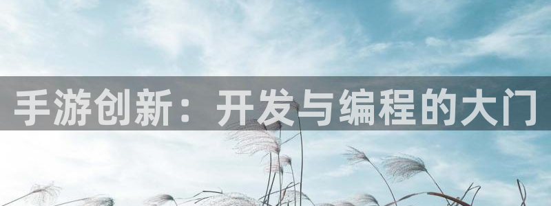 大神pc28官网开奖：手游创新：开发与编程的大门