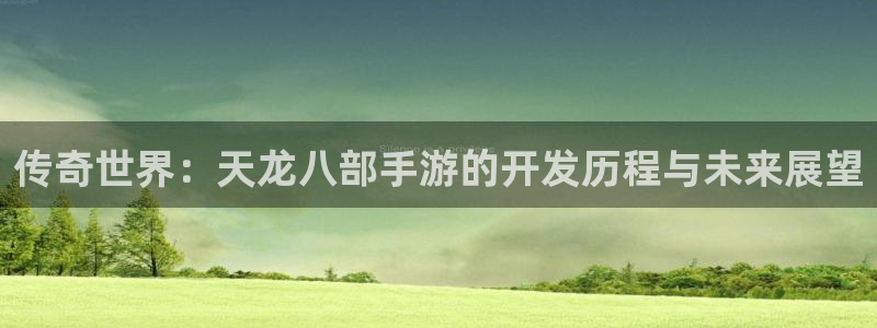 大神pc28预测网：传奇世界：天龙八部手游的开发历程与未来展