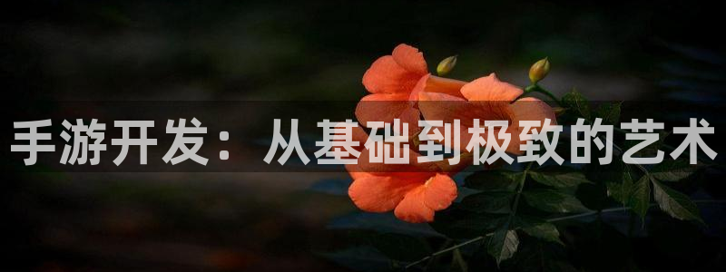 非凡游戏开奖结果查询：手游开发：从基础到极致的艺术