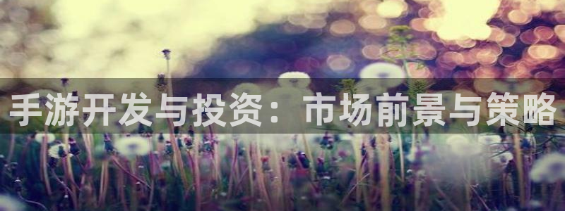 28大神吧怎么进不去了：手游开发与投资：市场前景与策略