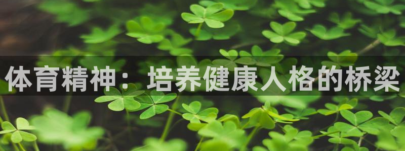 betway西汉姆联