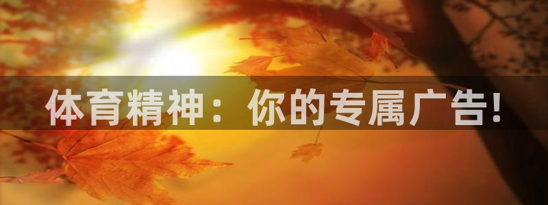 betway西汉姆：体育精神：你的专属广告!
