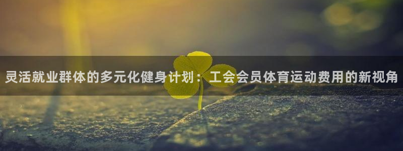betway西汉姆联官网：灵活就业群体的多元化健身计划：工会会员体育运动费用的新视角