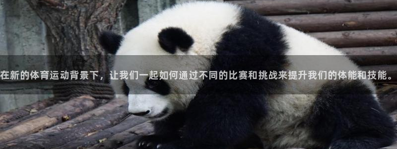 betway西汉姆联官网：在新的体育运动背景下，让我们一起如何通过不同的比赛和挑战来提升我们的体能和技能。