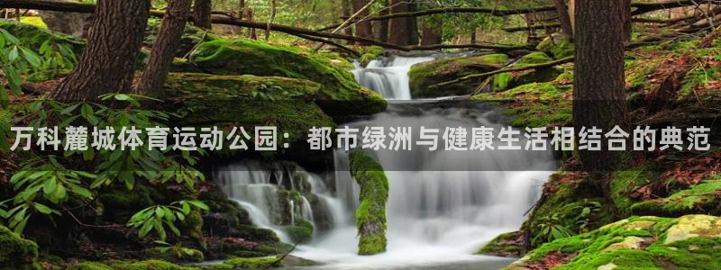 betway西汉姆官网：万科麓城体育运动公园：都市绿洲与健康生活相结合的典范