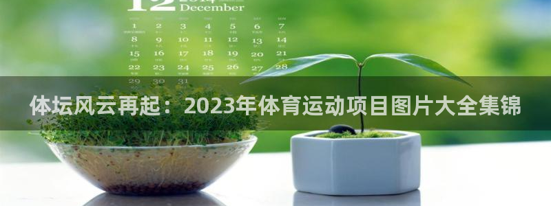 betway西汉姆：体坛风云再起：2023年体育运动项目图片大全集锦