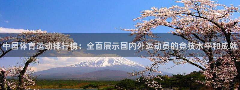 betway西汉姆官网：中国体育运动排行榜：全面展示国内外运动员的竞技水平和成就