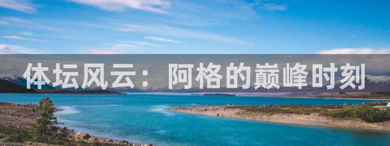 betway西汉姆联官网：体坛风云：阿格的巅峰时刻