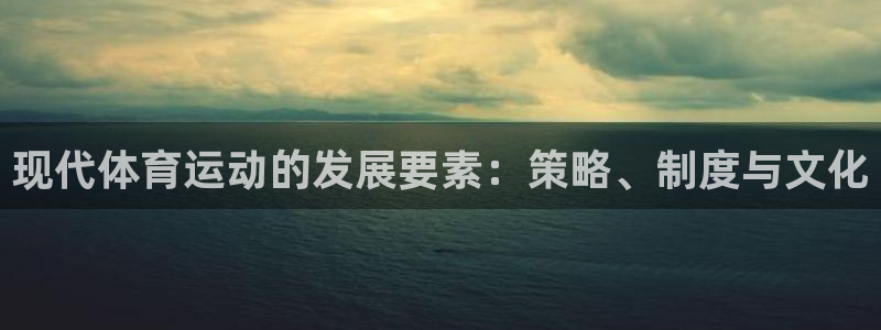 betway西汉姆：现代体育运动的发展要素：策略、制度与文化